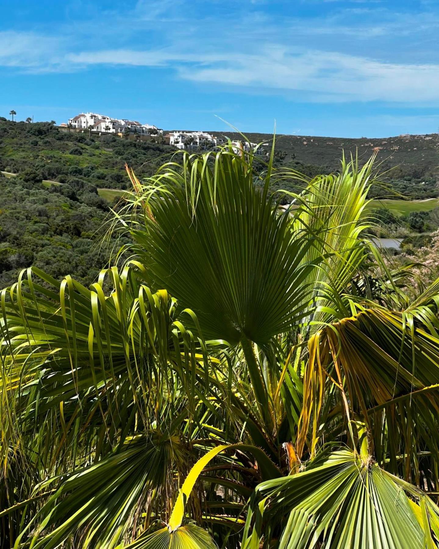 In - Sea & Golf View With Swimming Pool Alcaidesa