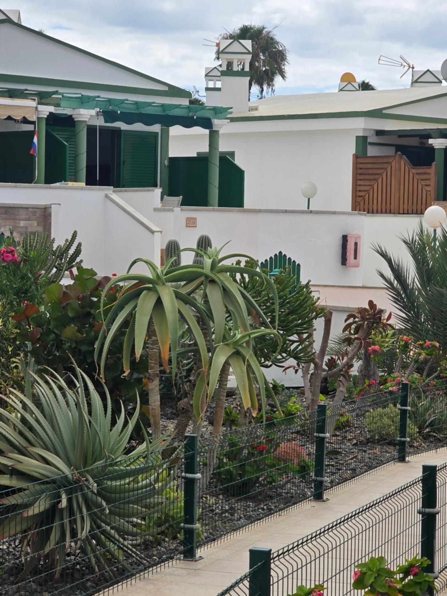 The Sunflower Apartment *