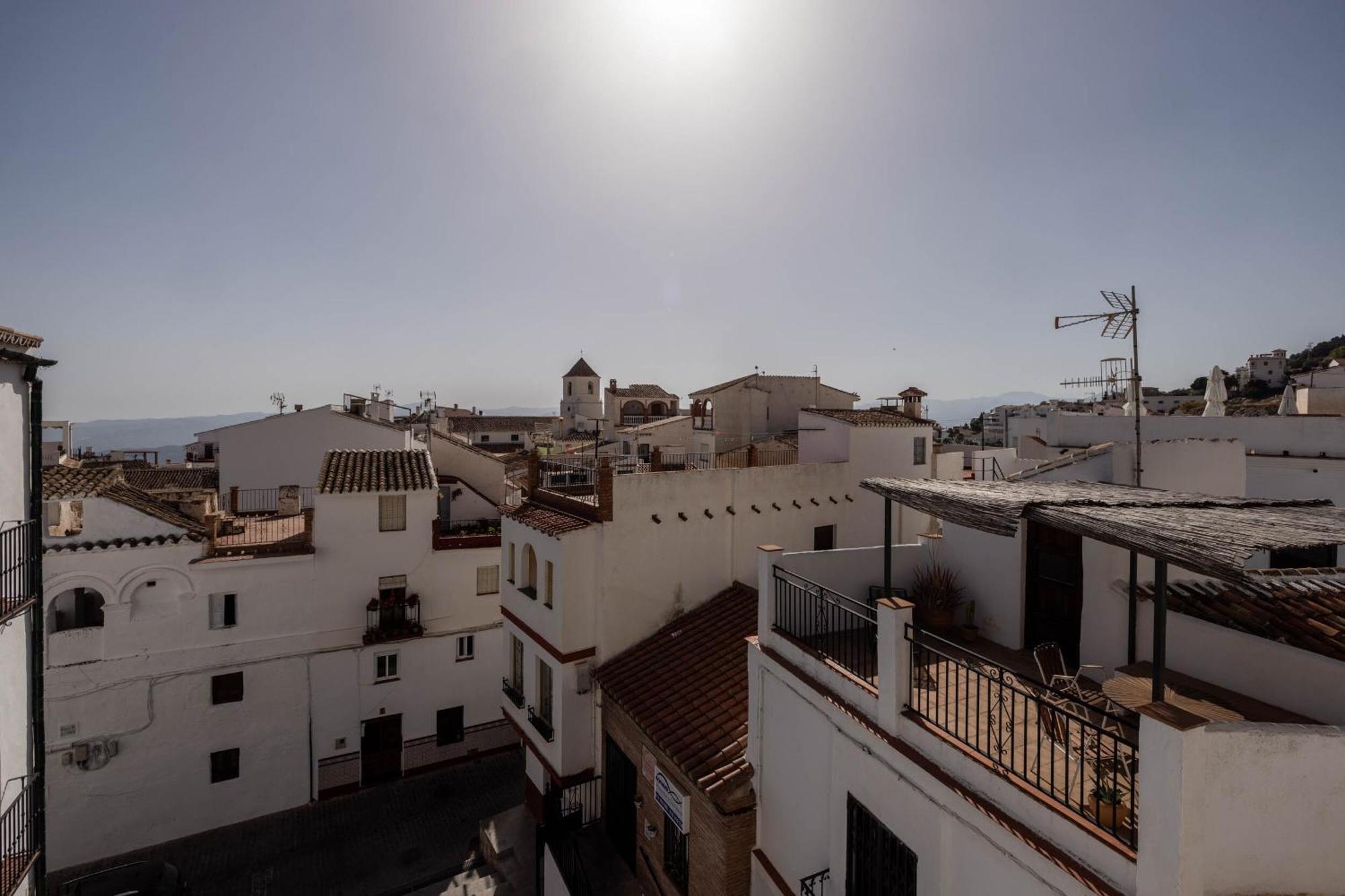 Bed and breakfast Olive & Ivy Canillas de Aceituno