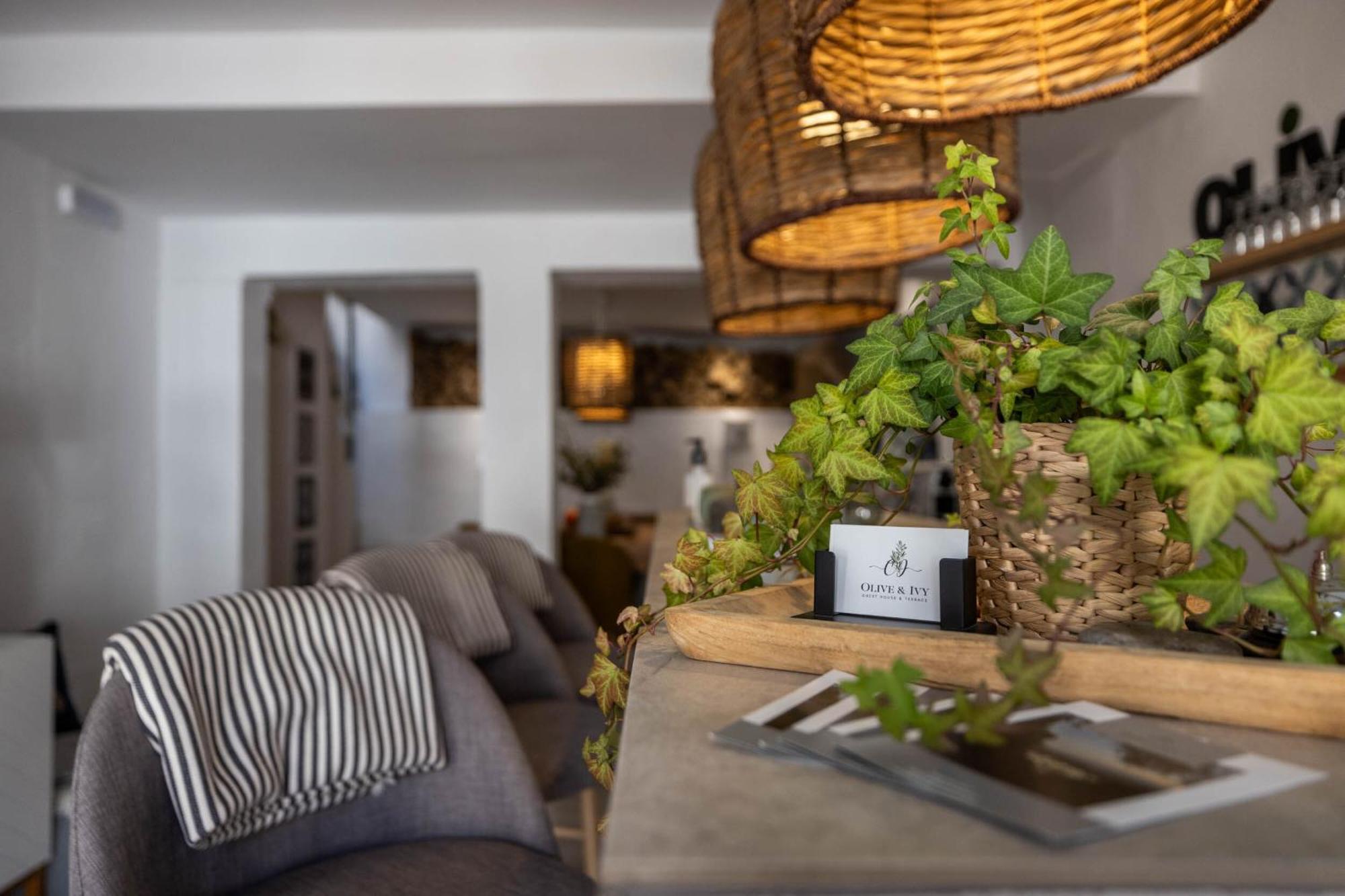 Bed and breakfast Olive & Ivy 4*