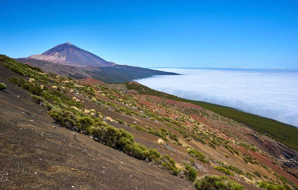 Hotel Melia Jardines Del Teide - Adults Only 5*