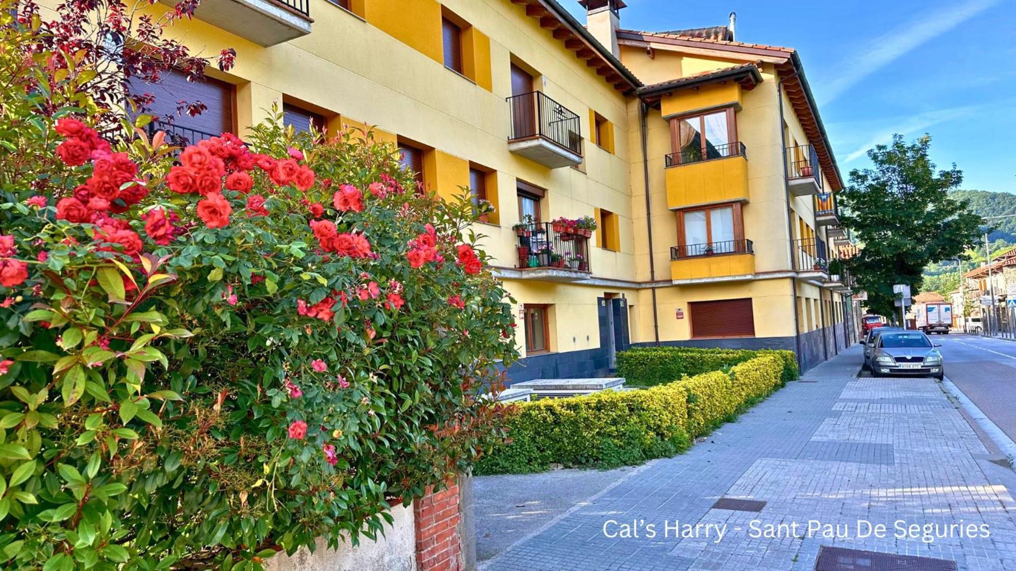 Apartamento Cal Harrys - La Mejor Casa De Vacaciones En Pyrenees Con Vistas A La Montana Sant Pau de Segúries