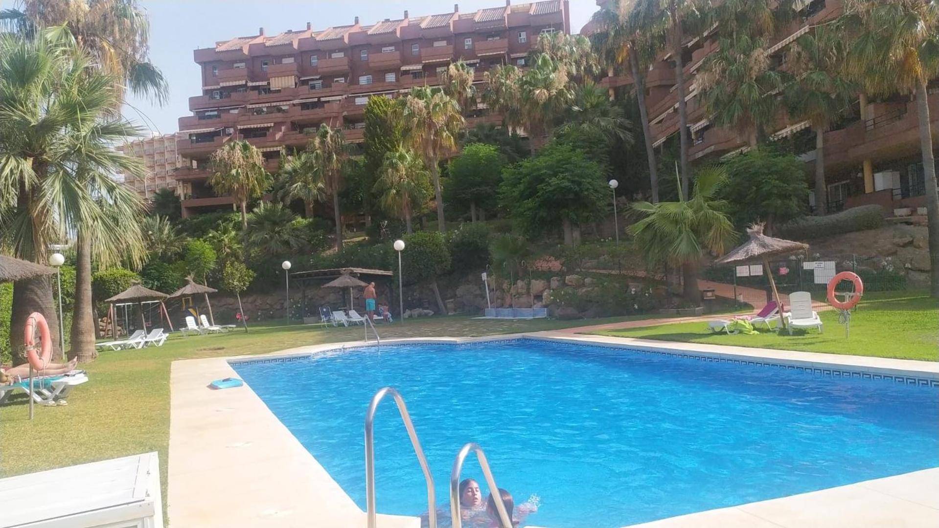 Palm *