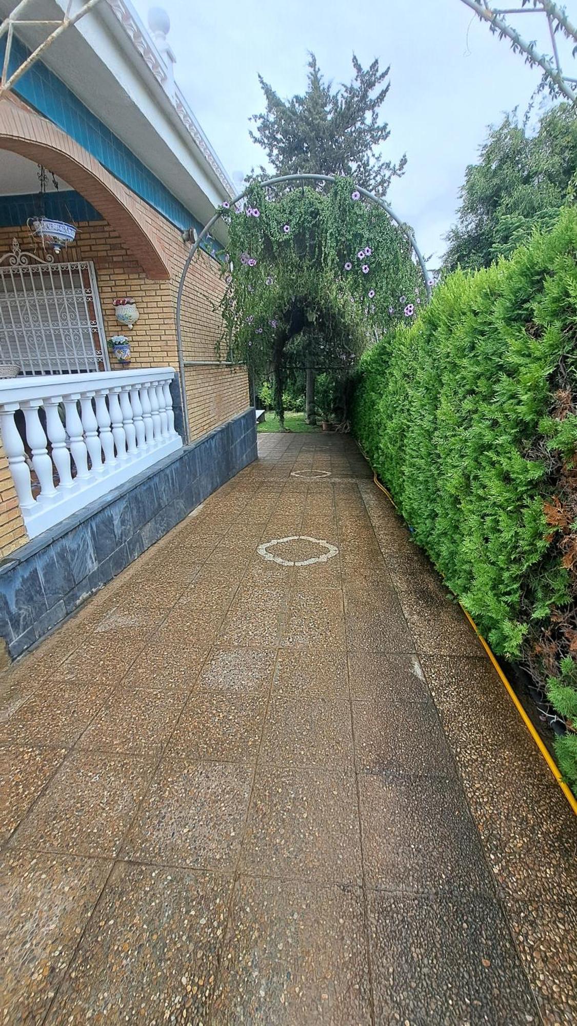 Sevilla, Amalia *