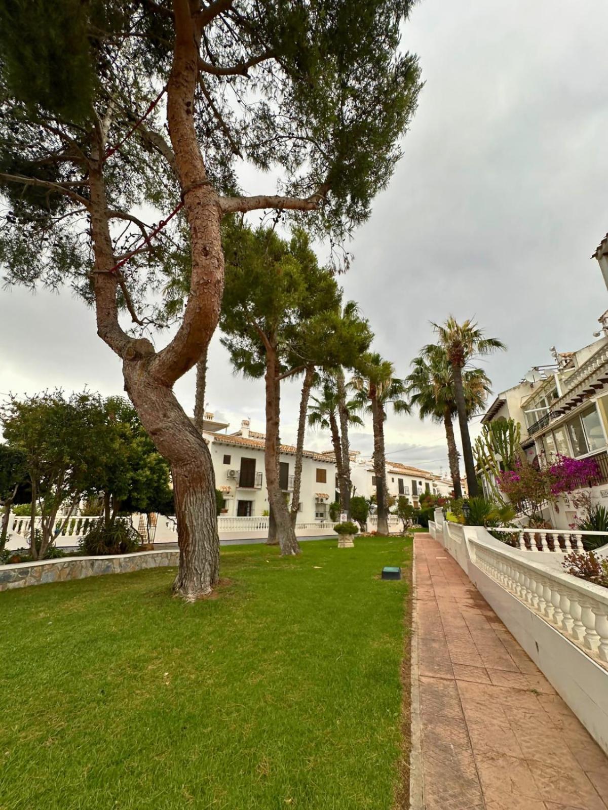 Ancora 4 En Urbanizacion Con Piscina Torrevieja