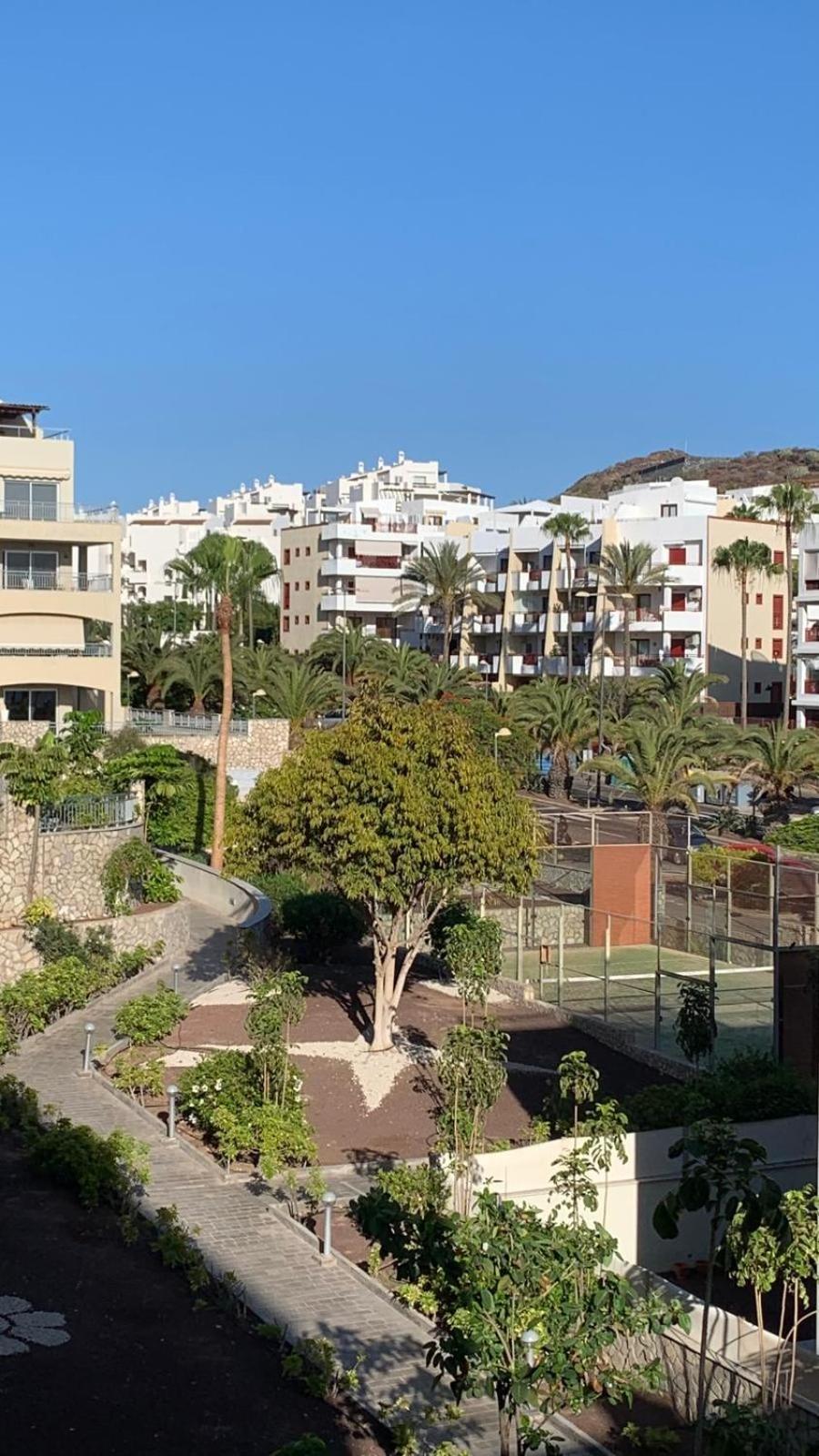 Palmeritas Mar Tenerife Sur