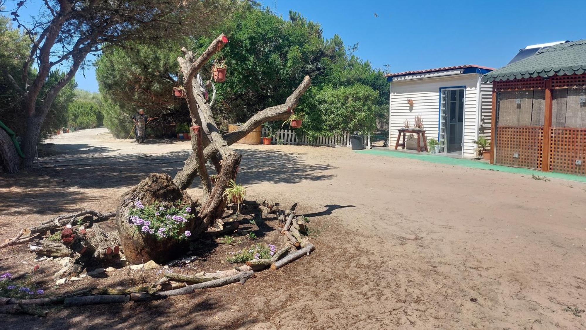 Dunas: Beachfront With Jacuzzis Rota