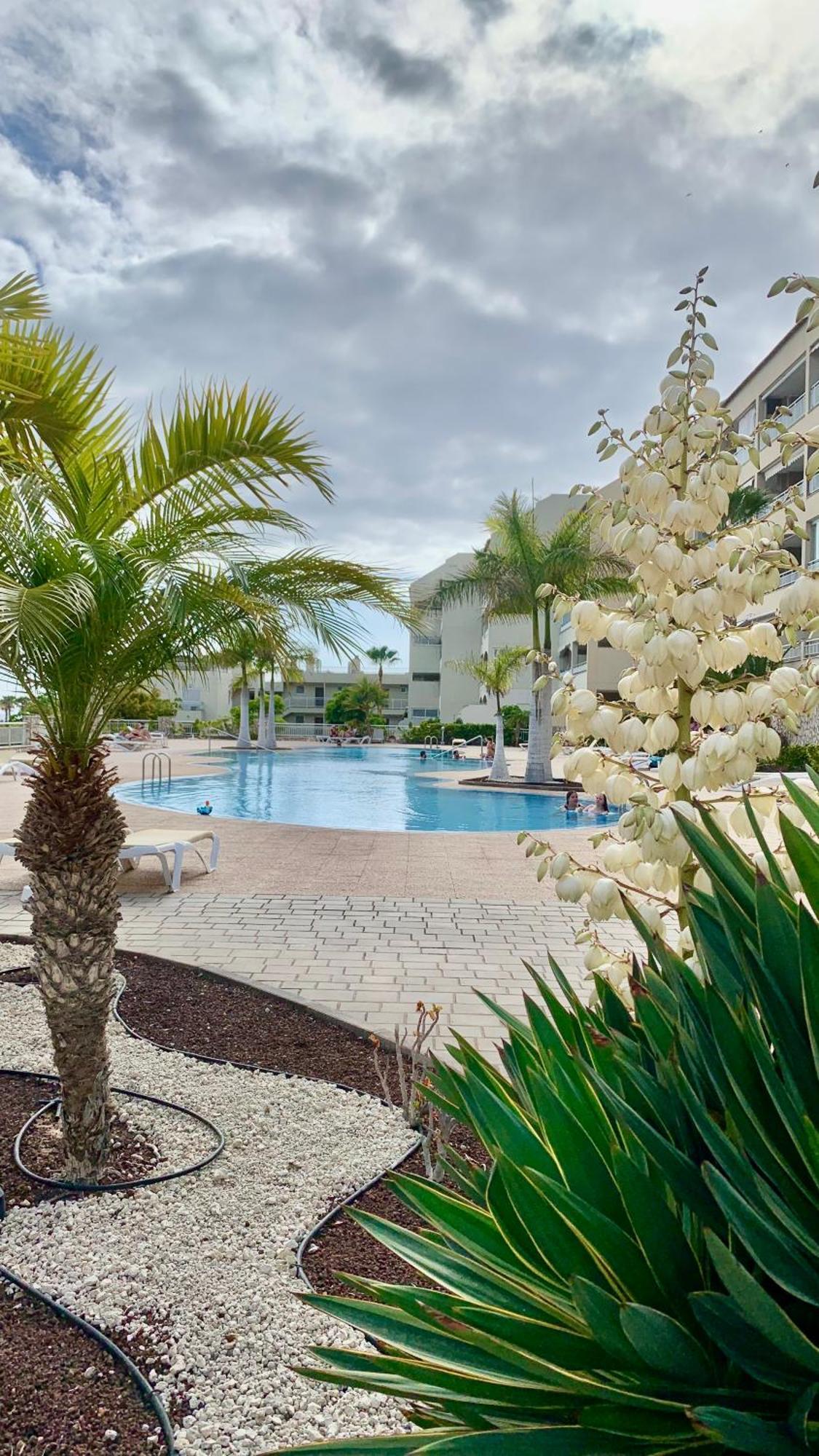 Apartment Palmeritas Mar Tenerife Sur Palm-mar