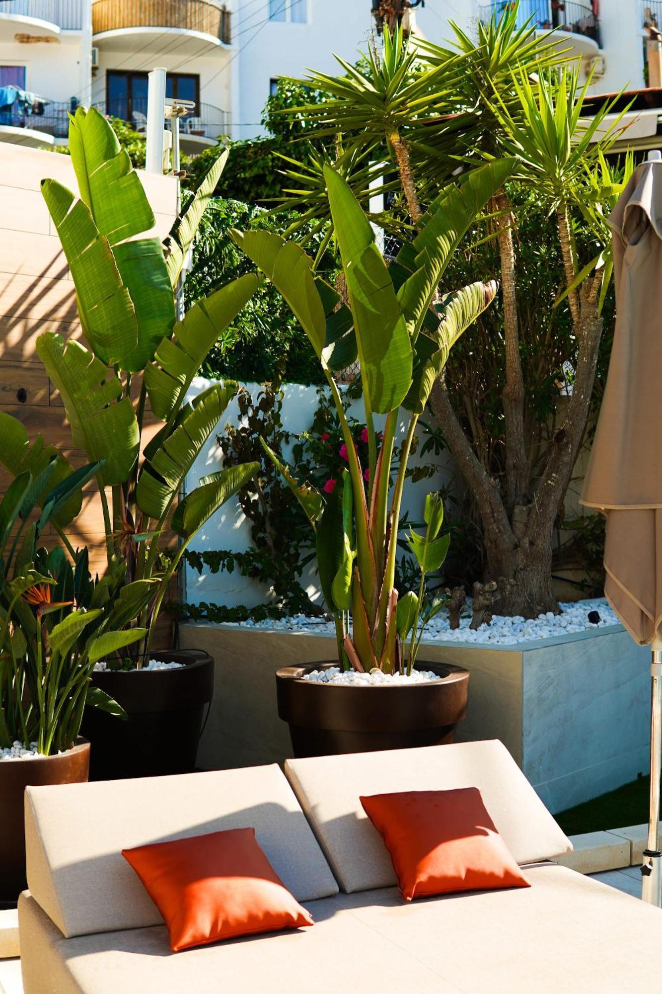 Typic Oasis Sa Tanca Apartamento