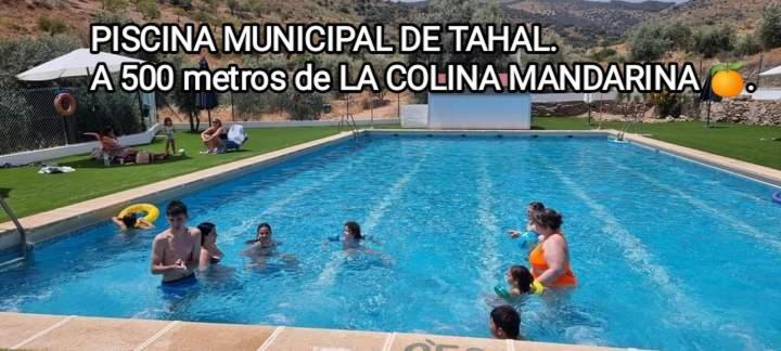 Casa La Colina Mandarina Ii Casa De Madera Tahal