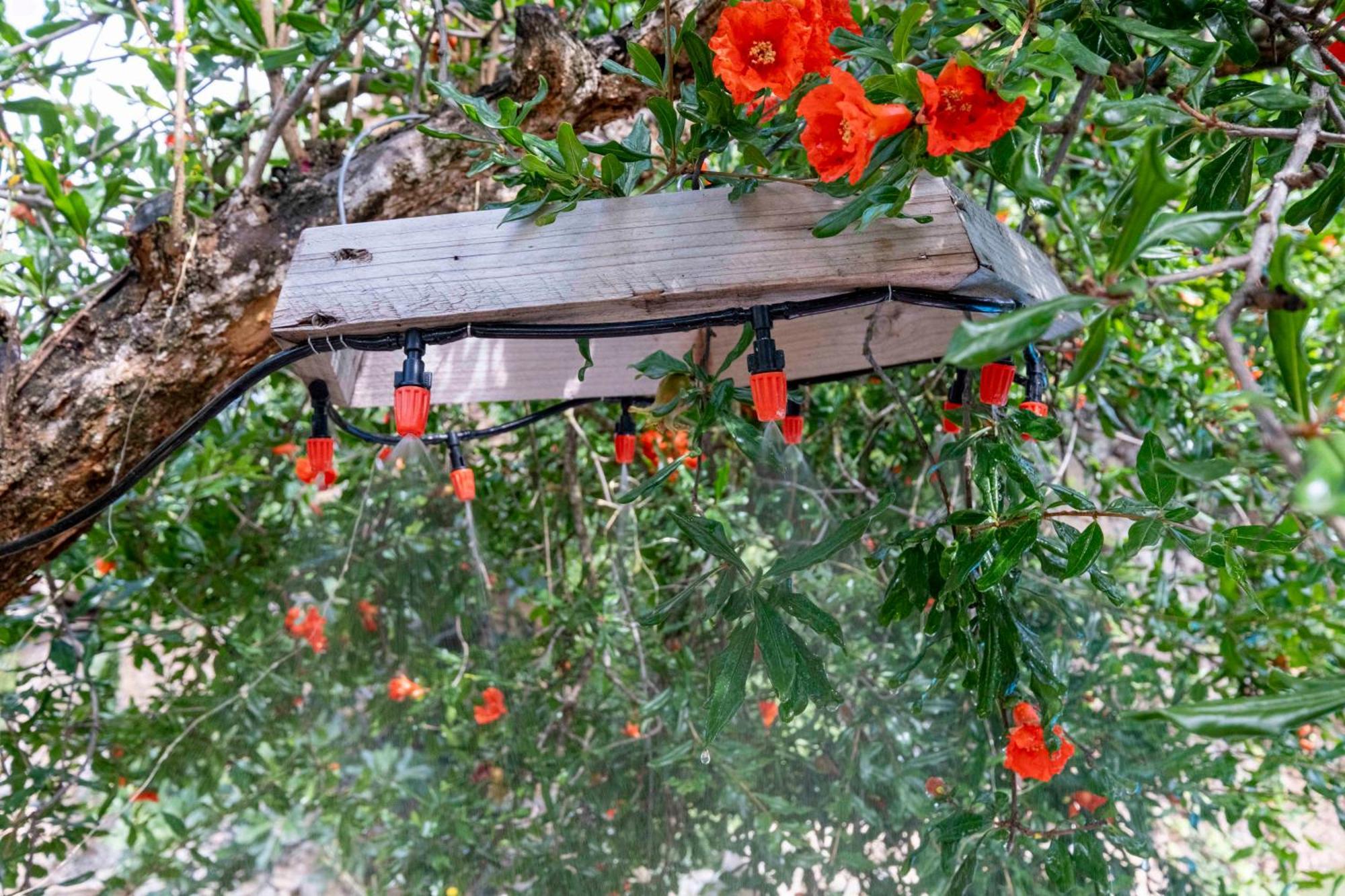 Casa Acollidora I Familiar Amb Jardi I Barbacoa Ager