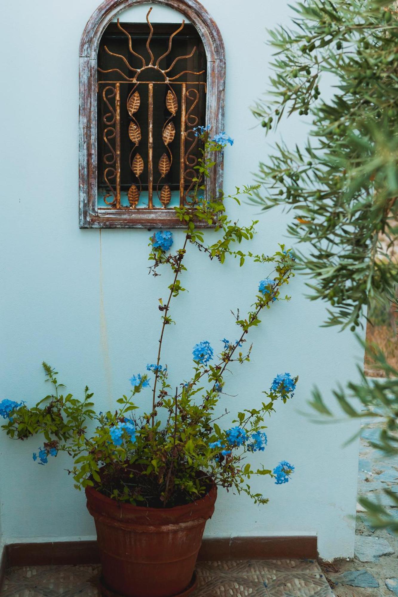 Eco-casa Alegria Y Luna Bed and breakfast Sorbas