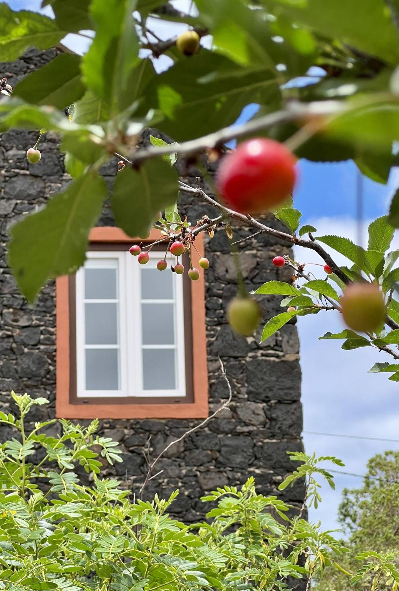 Apartamento Cozy Rural House Guindas, El Hierro