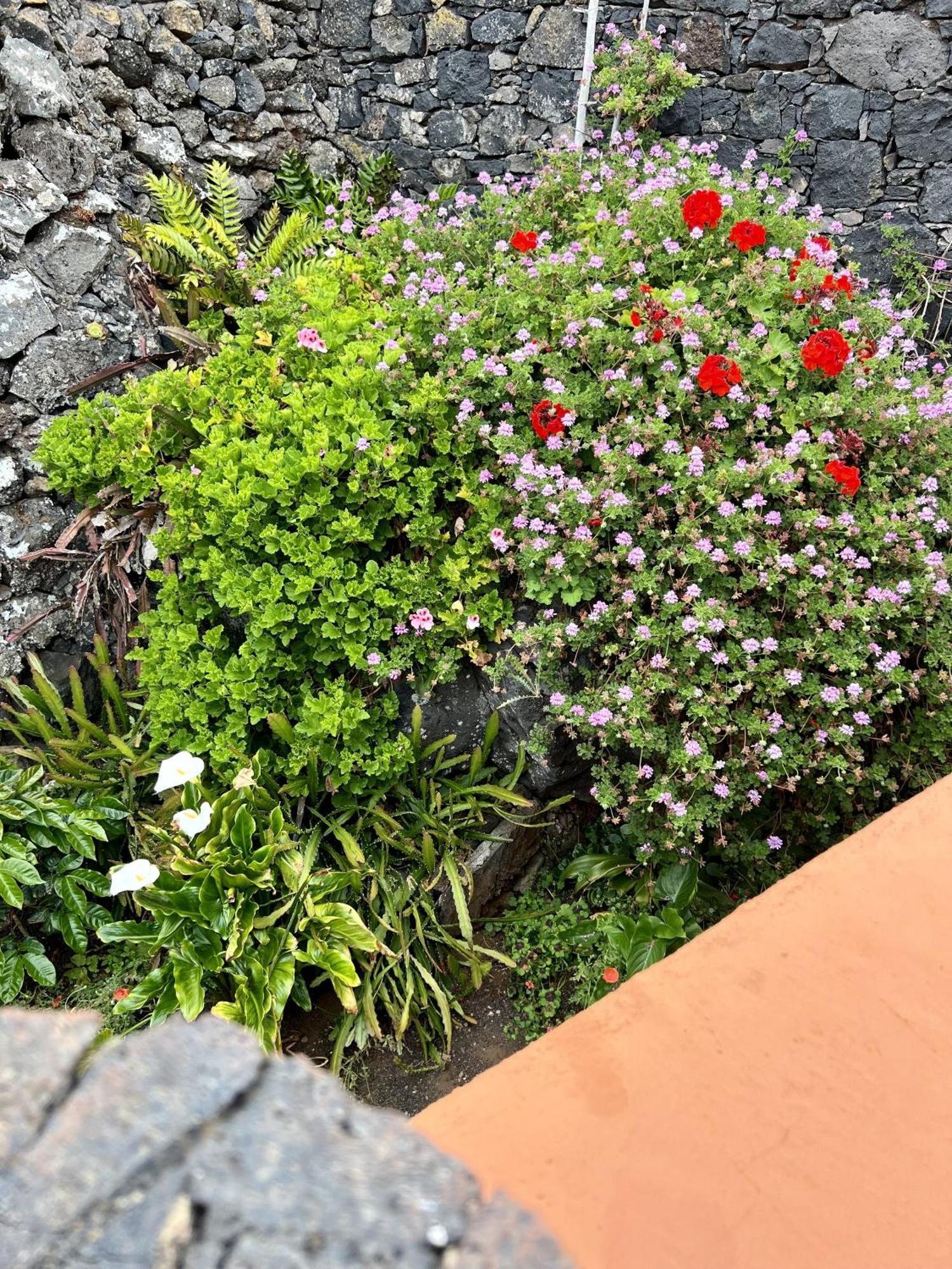 Cozy Rural House Guindas, El Hierro Apartment Erese