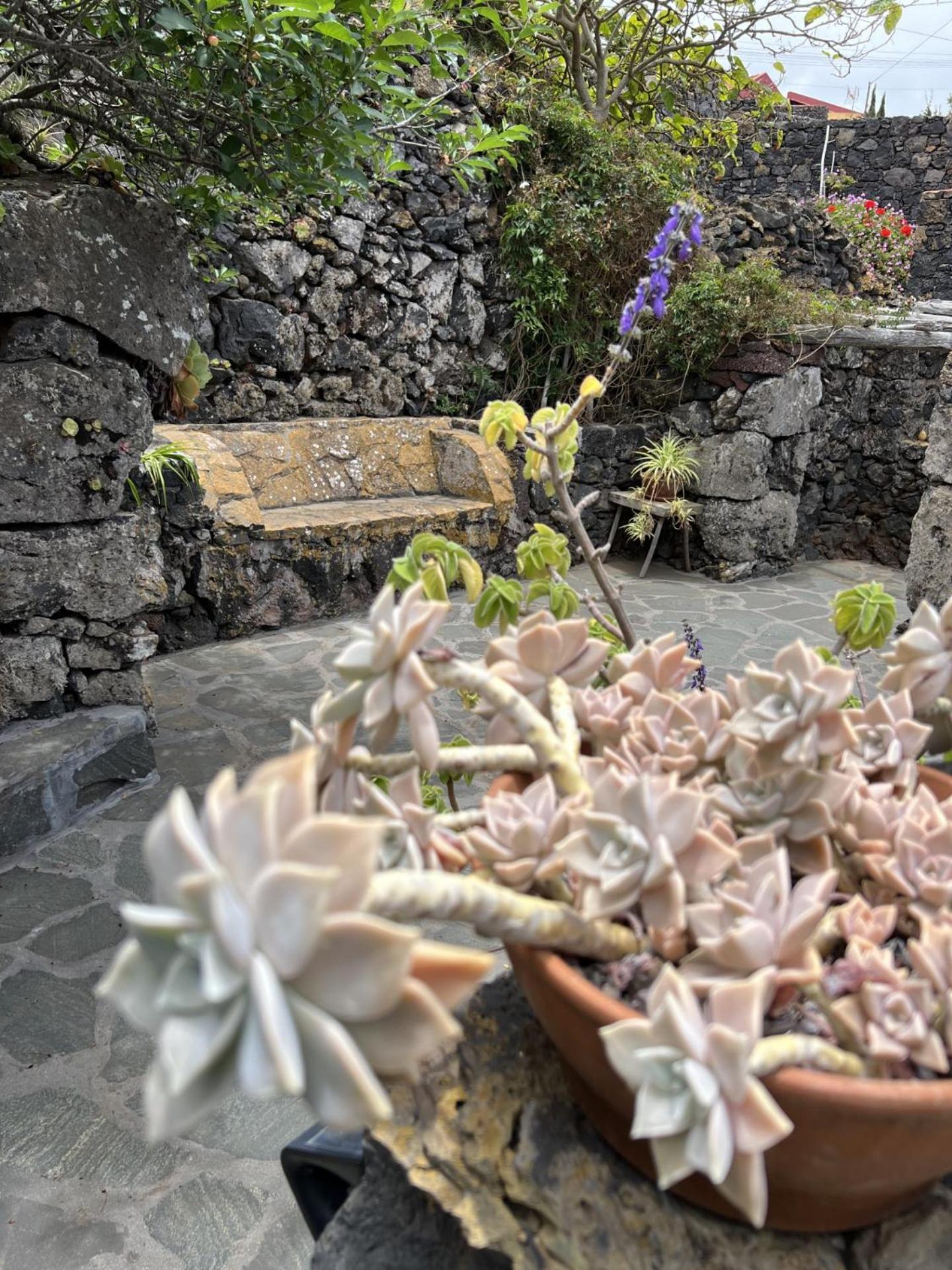 Cozy Rural House Guindas, El Hierro Erese