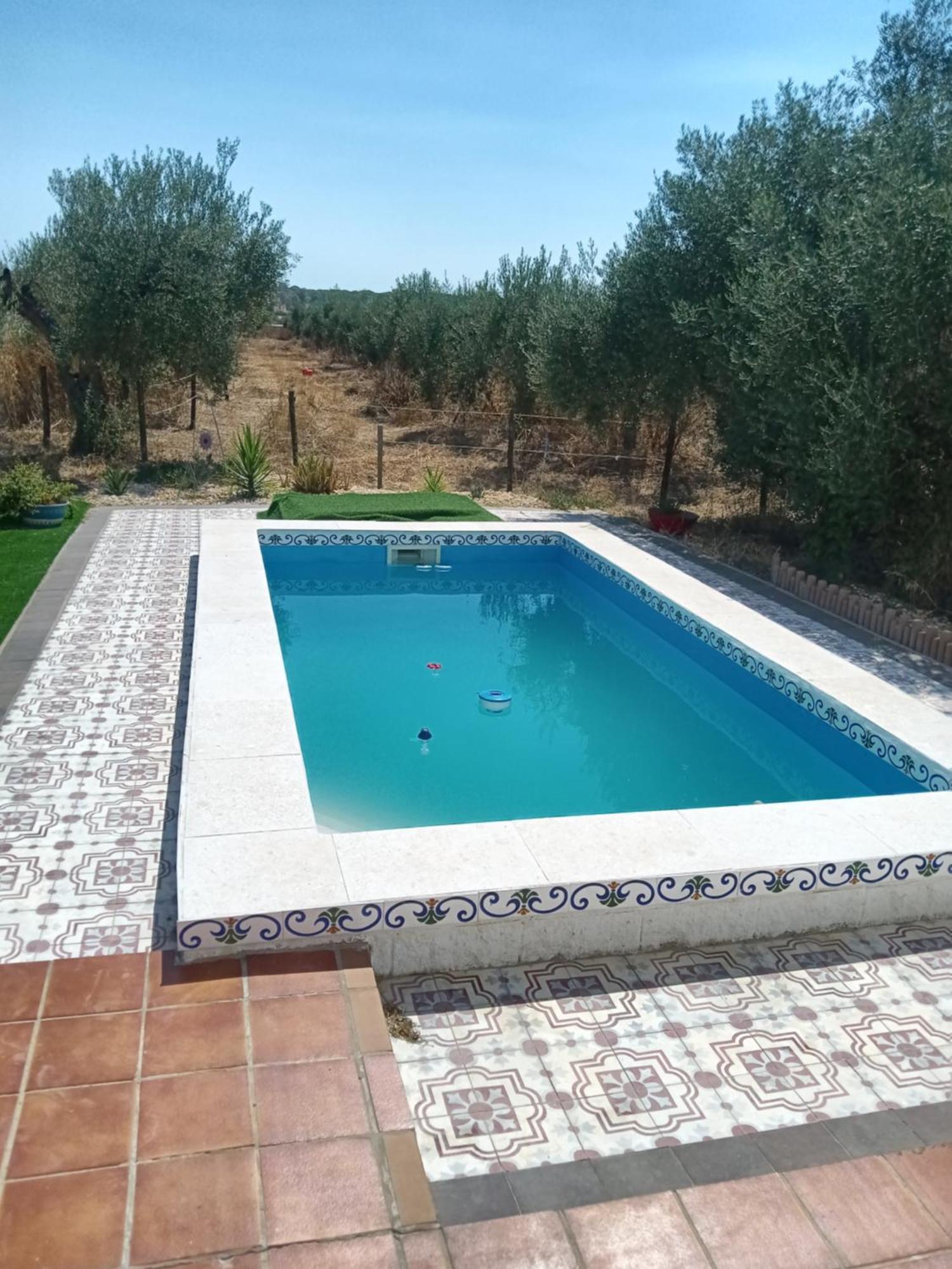 Casa Halcon