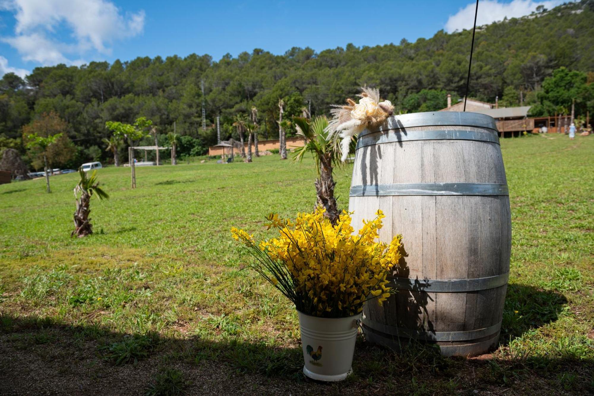 Campo de lujo Glamping Vall De Codo *