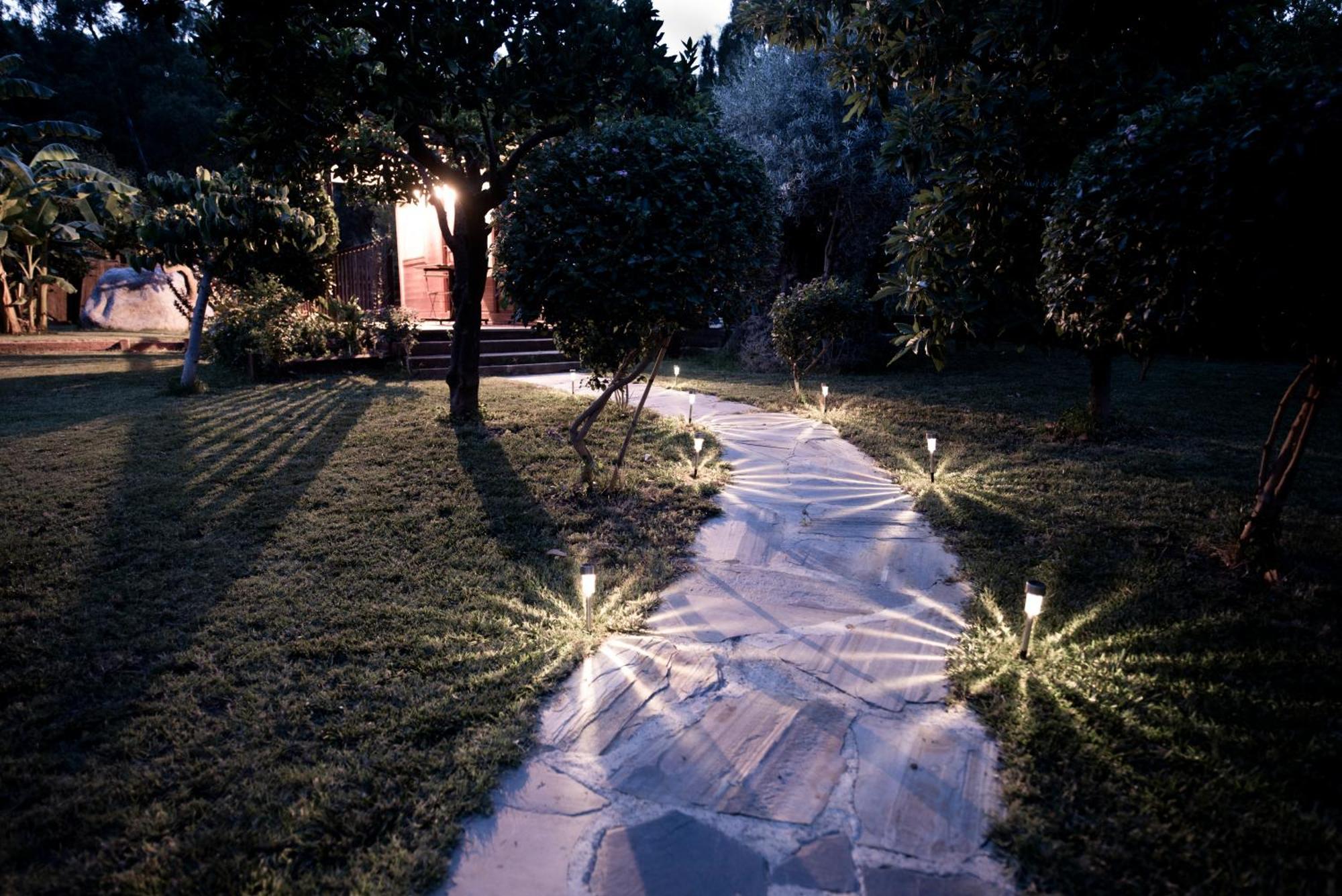 El Jardin Del Eden *