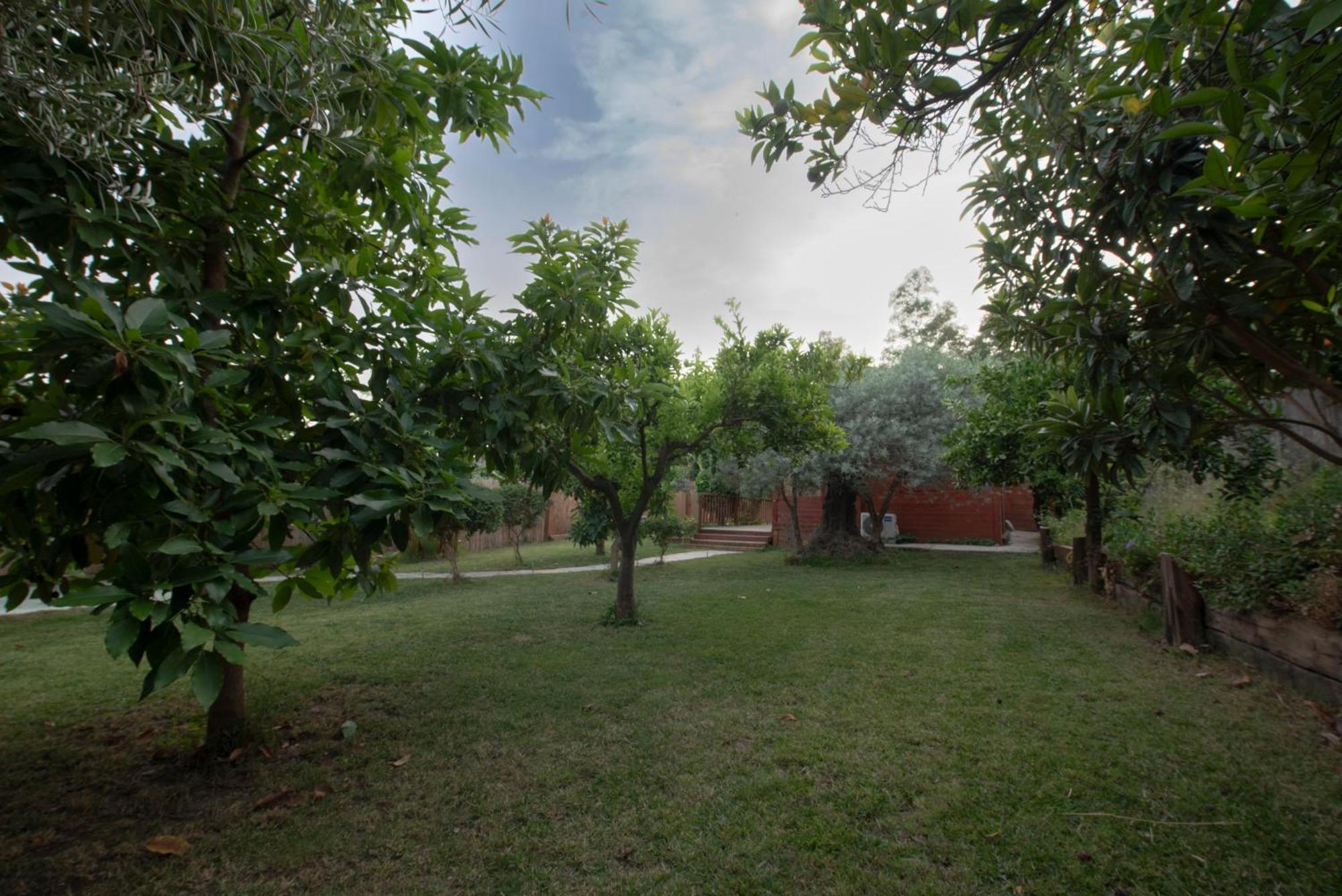 El Jardin Del Eden Holiday home Orgiva