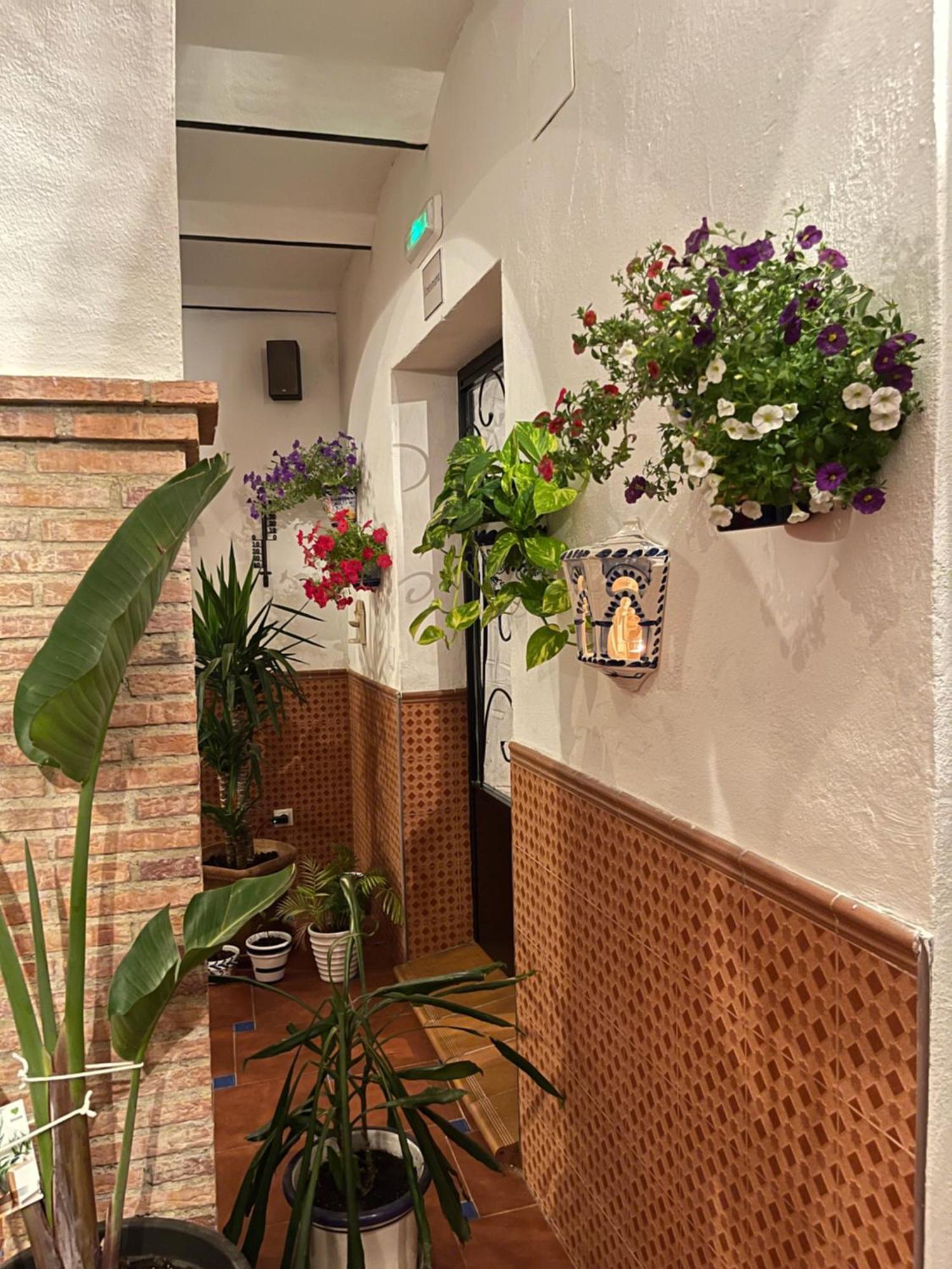 Bed and breakfast Al-mudawar