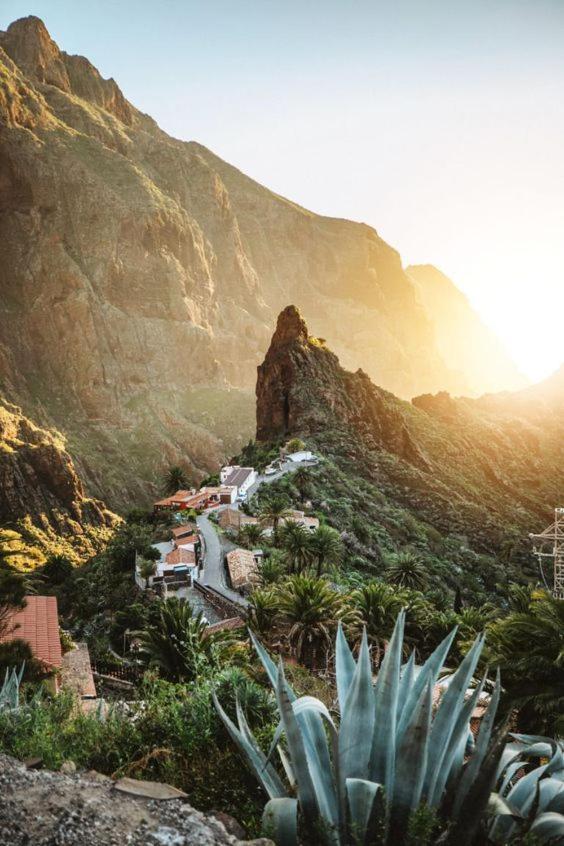 Apartamento Ponderosa Tenerife