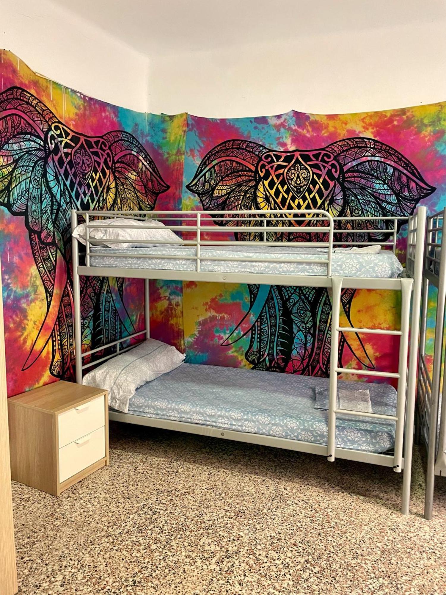 Apartamento Rosa De Los Vientos: Estudios Cádiz