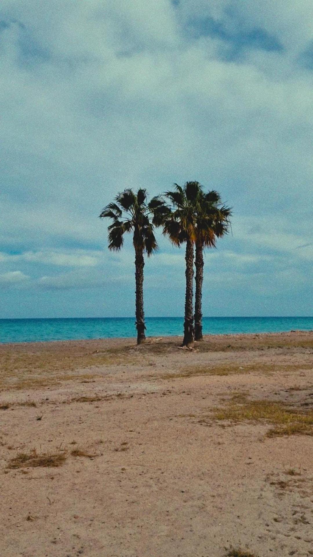 Playa Moncofa-chilches