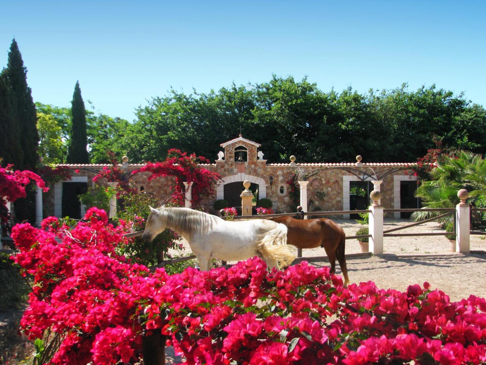 Holiday home Santa Lucia