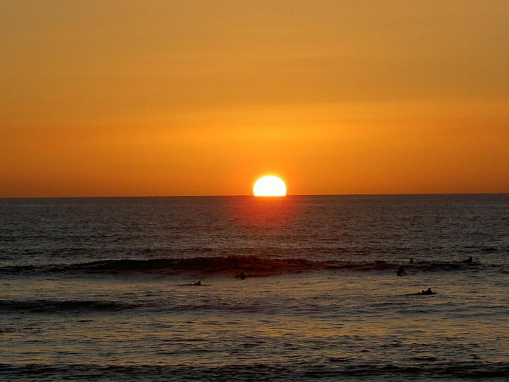 Optimist Tenerife Apartamento *