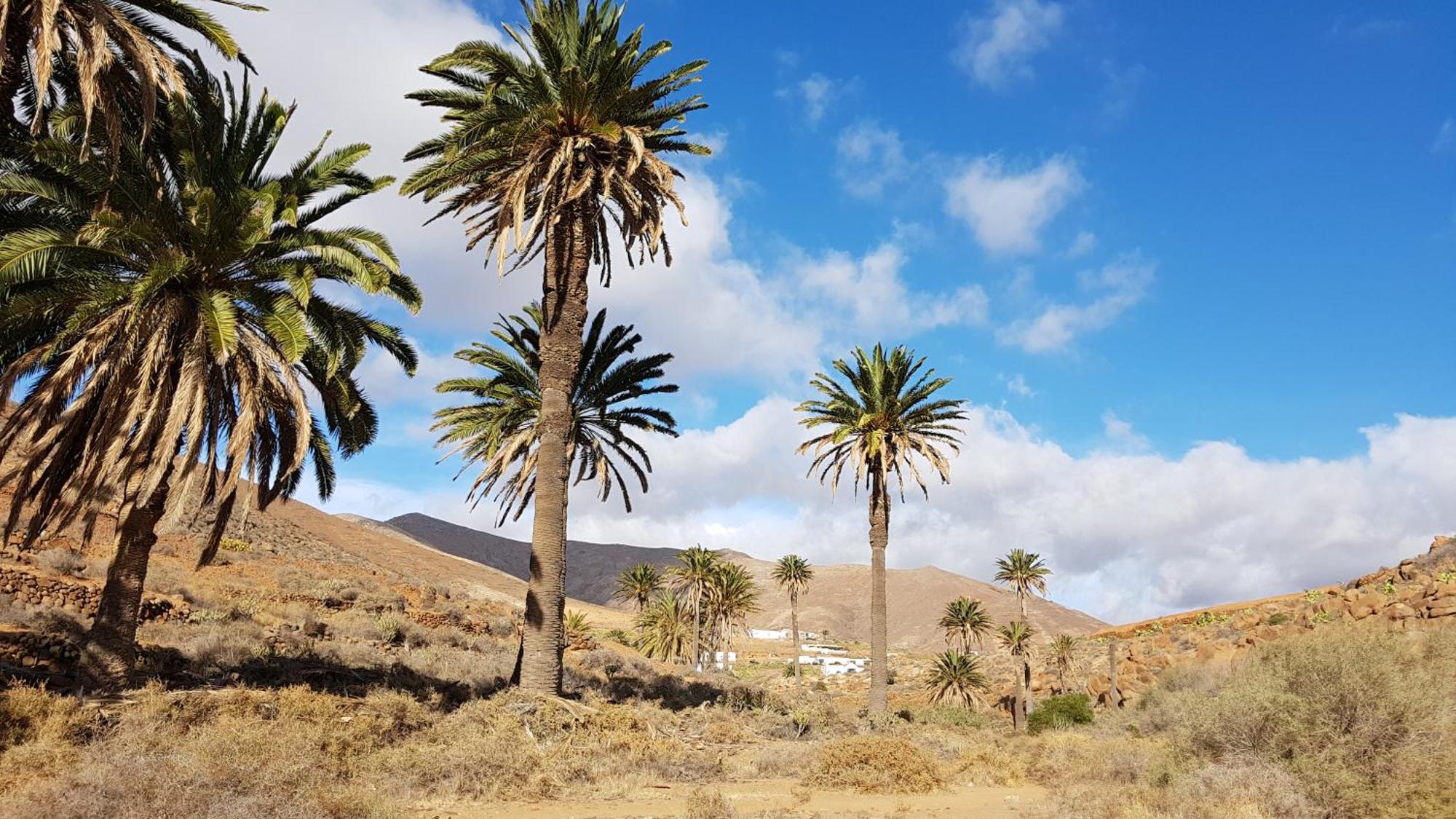 Casa Cocoon, Sun&freedom, 8 Mn From Beaches, Internet Fiber