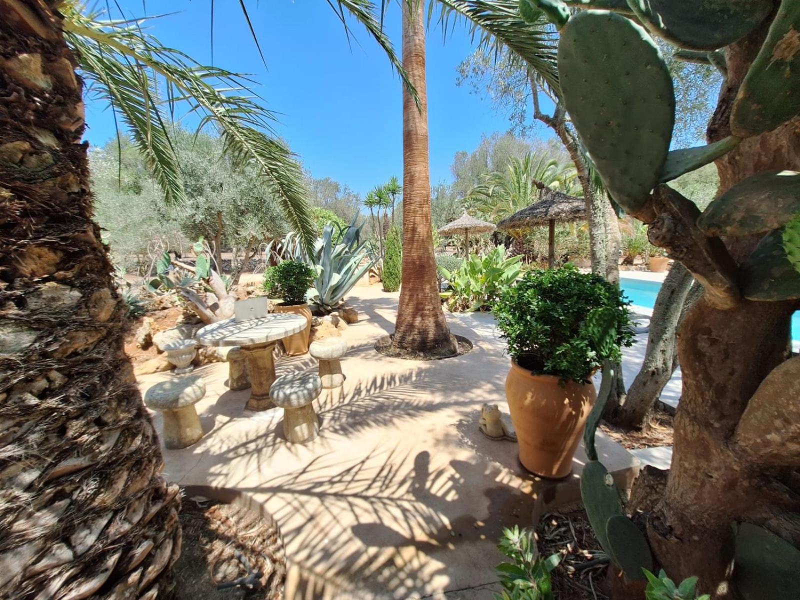 Casa Pina Сasa de vacaciones Costitx (Mallorca)