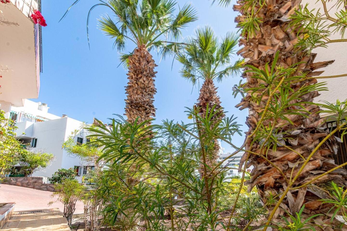 Apartamento Gigantes Tamara By Dream Homes Tenerife *