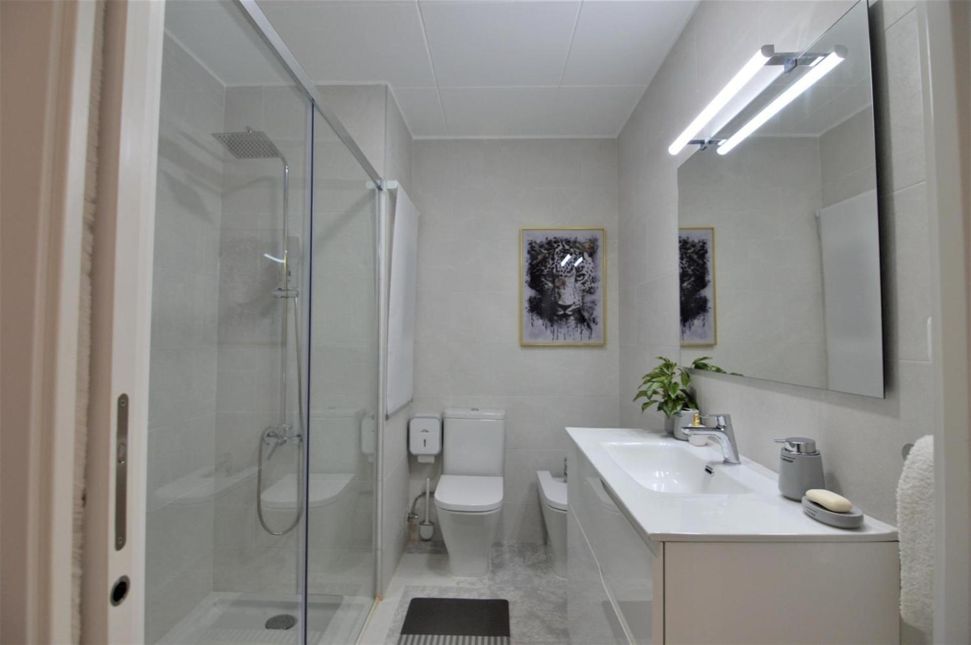 Amazing Apartamento