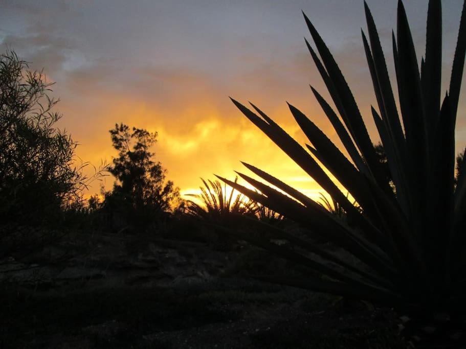 Descanso En Espacio Natural Con Vistas Holiday home Roque