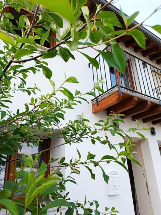 Holiday home Bellavista Santander