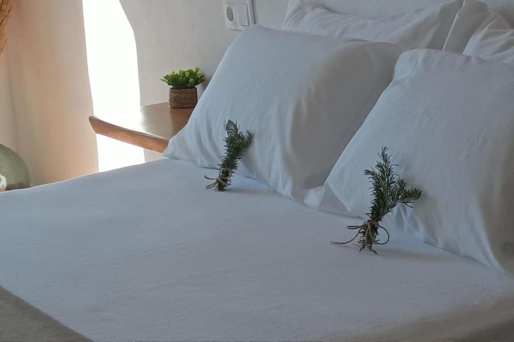 Holiday home Casa El Almendro Piscina Privada *