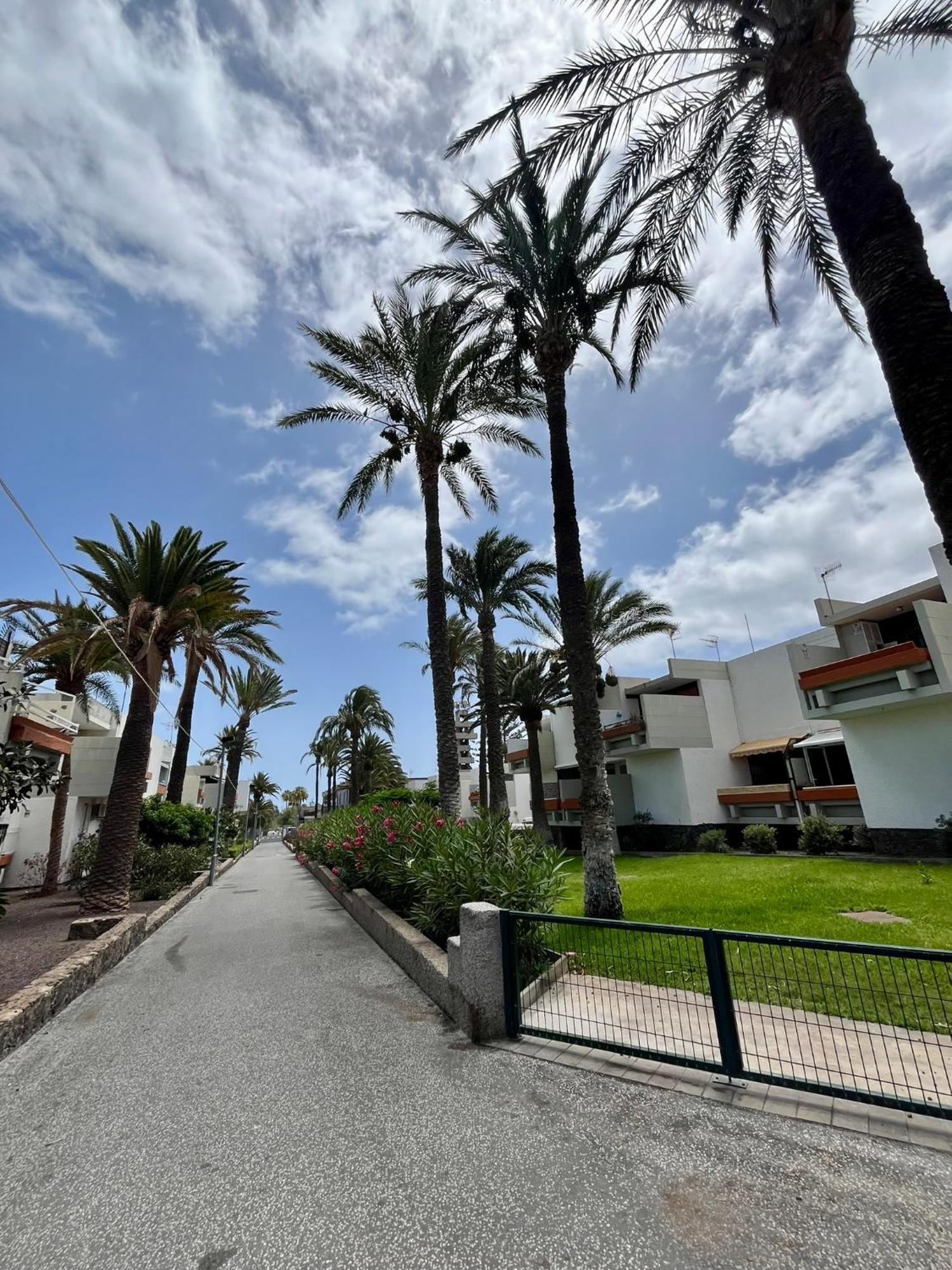 Piso F-primavera Gt Apartamento