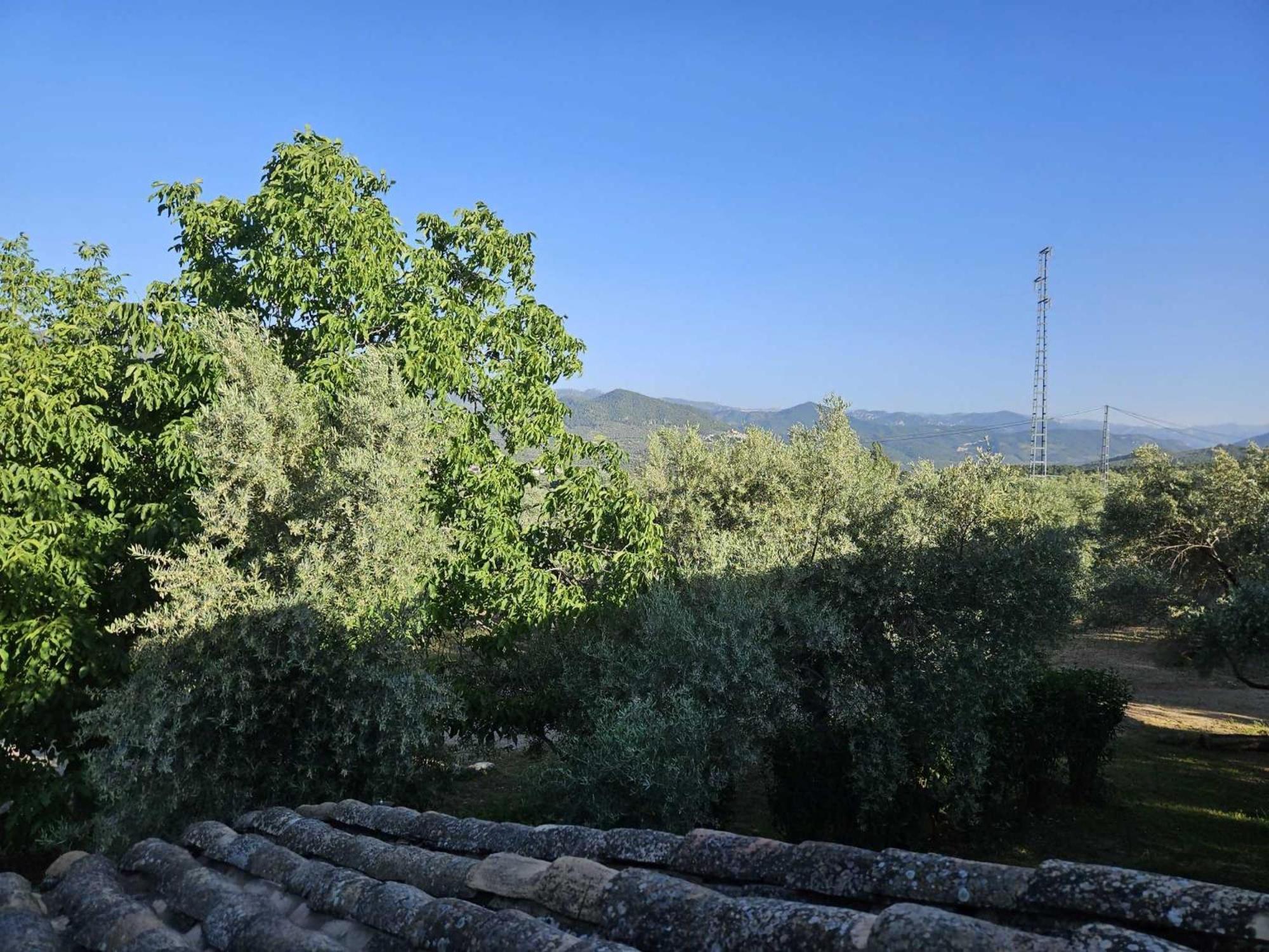 Hotel Cortijo Del Cura By Travel *