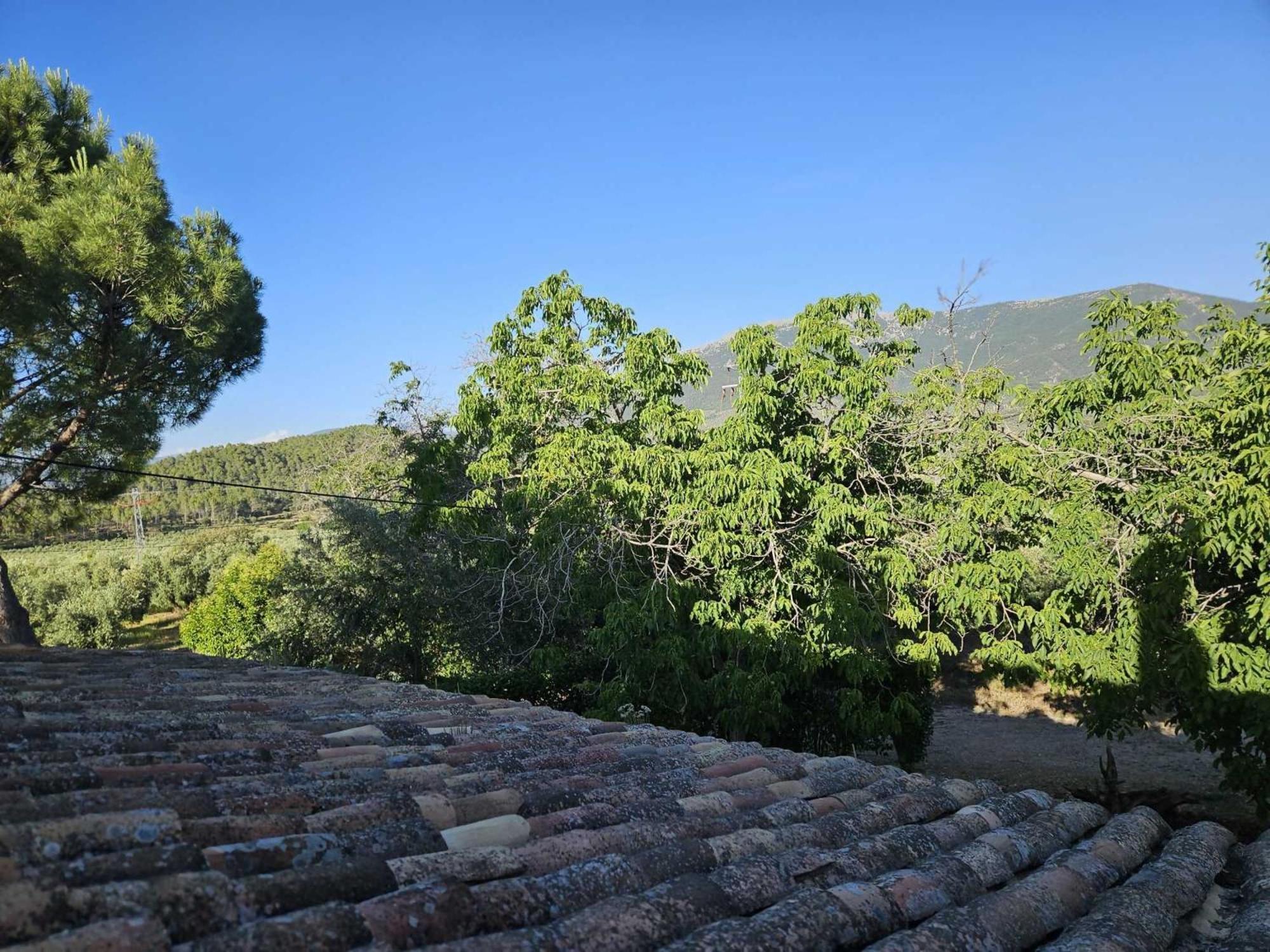 Cortijo Del Cura By Travel *