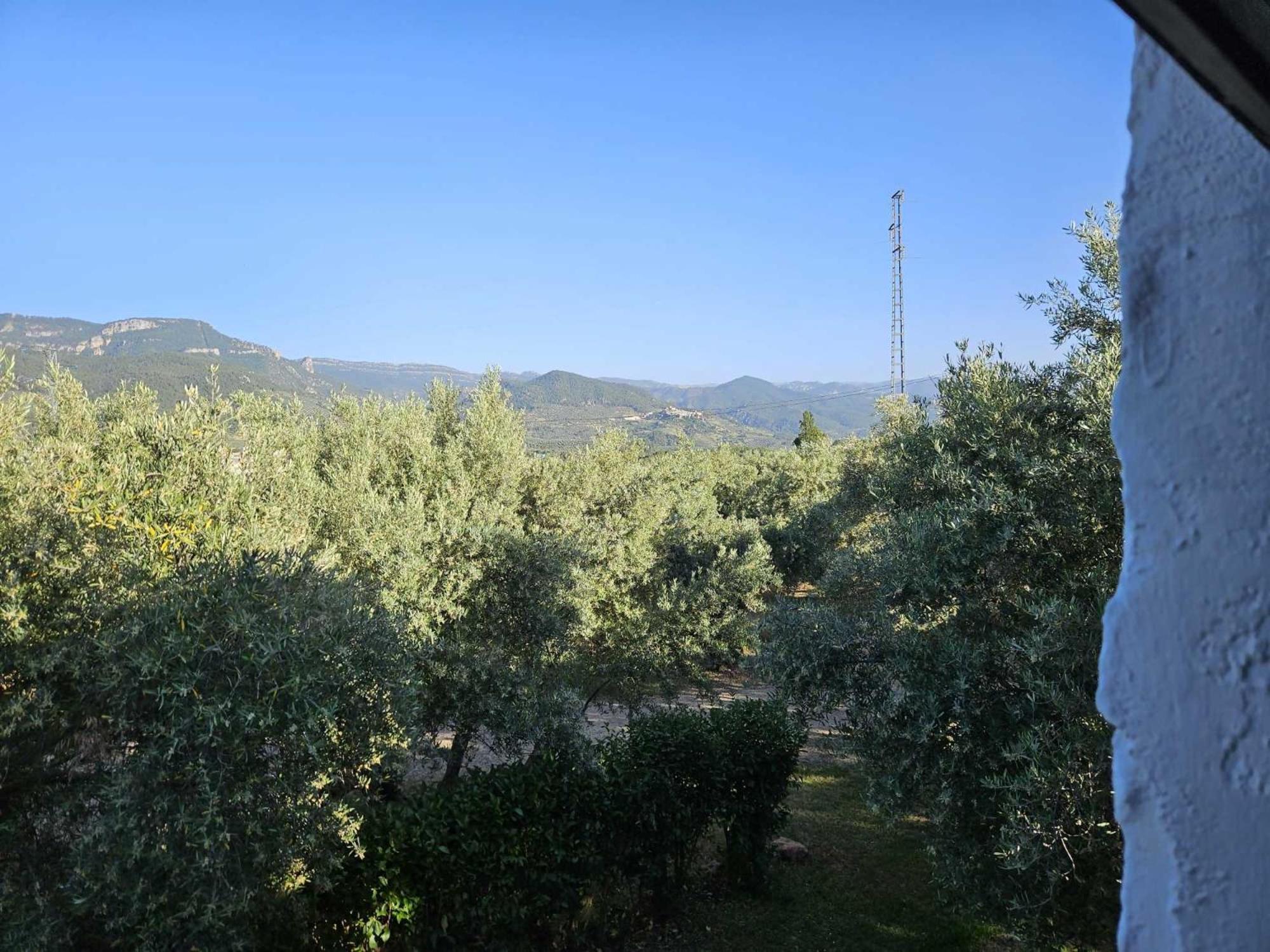 Cortijo Del Cura By Travel Cortijos Nuevos