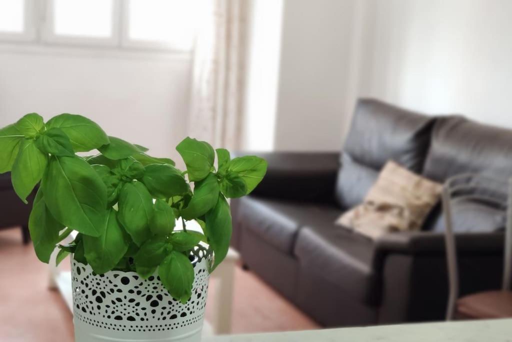 Apartment Breathe Bajamar - Surf, Piscinas Naturales, Senderismo