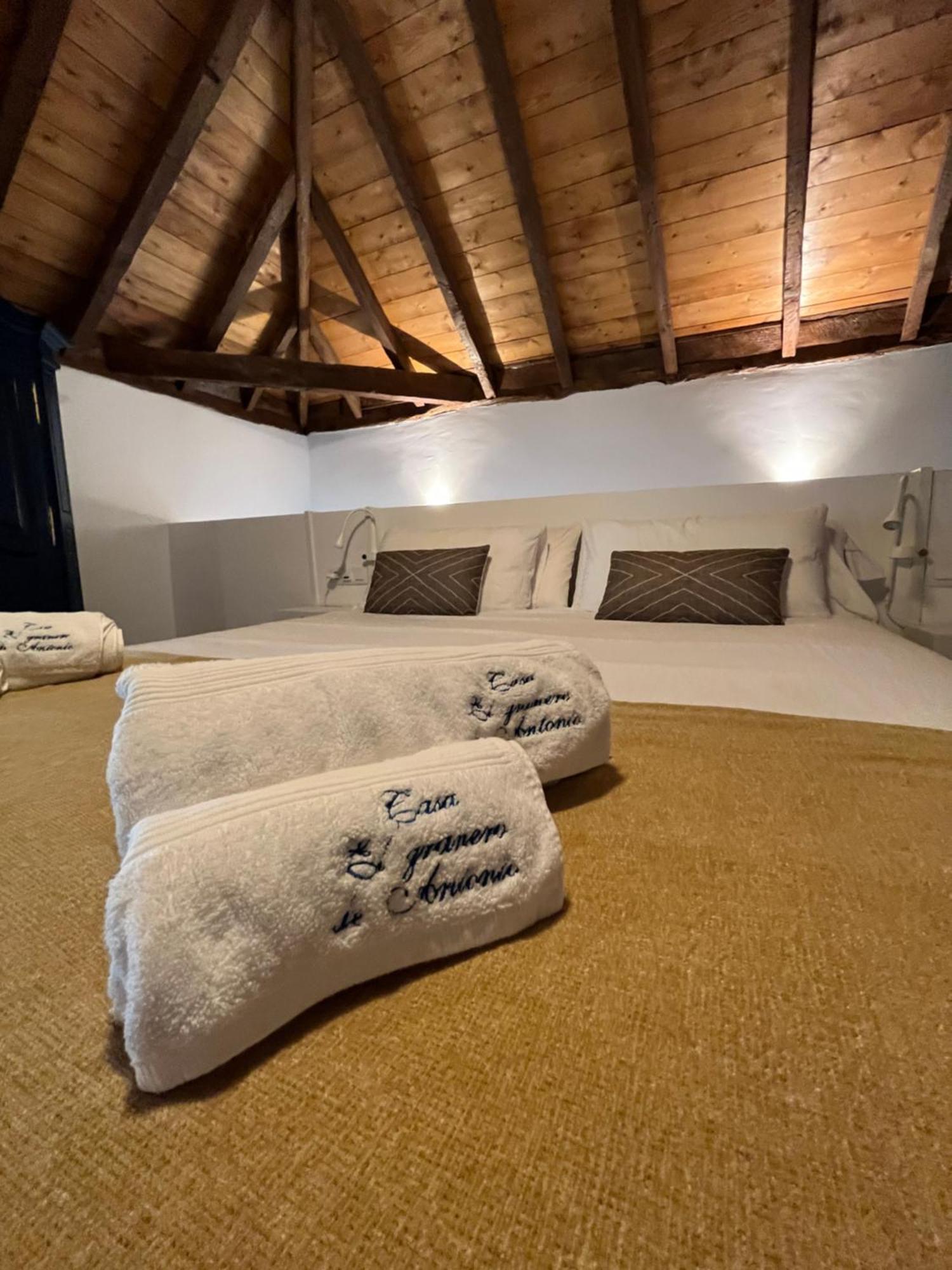 Casa El Granero De Antonio Holiday home San Miguel de Abona