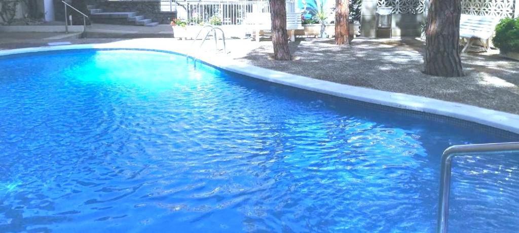 Apartamento Vistas Al Mar, 50 Metros Playa Y Centro, Cama Queen Size