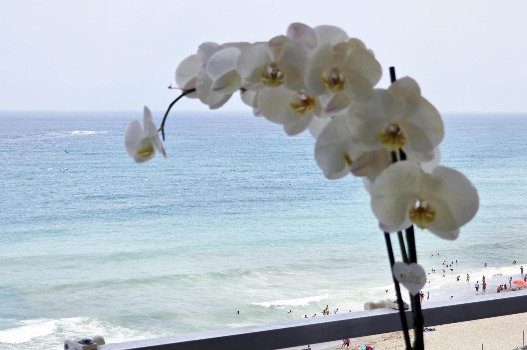 Apartamento Aa Guest - Sky Center Beachfront Sea Views Eco