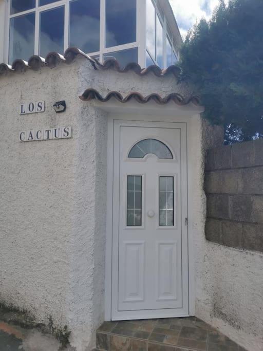 Apartment Cactus Santa Cruz de Tenerife