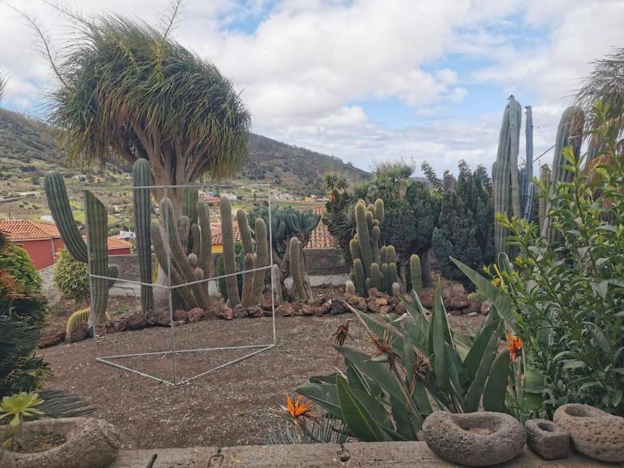 Cactus Apartment Santa Cruz de Tenerife