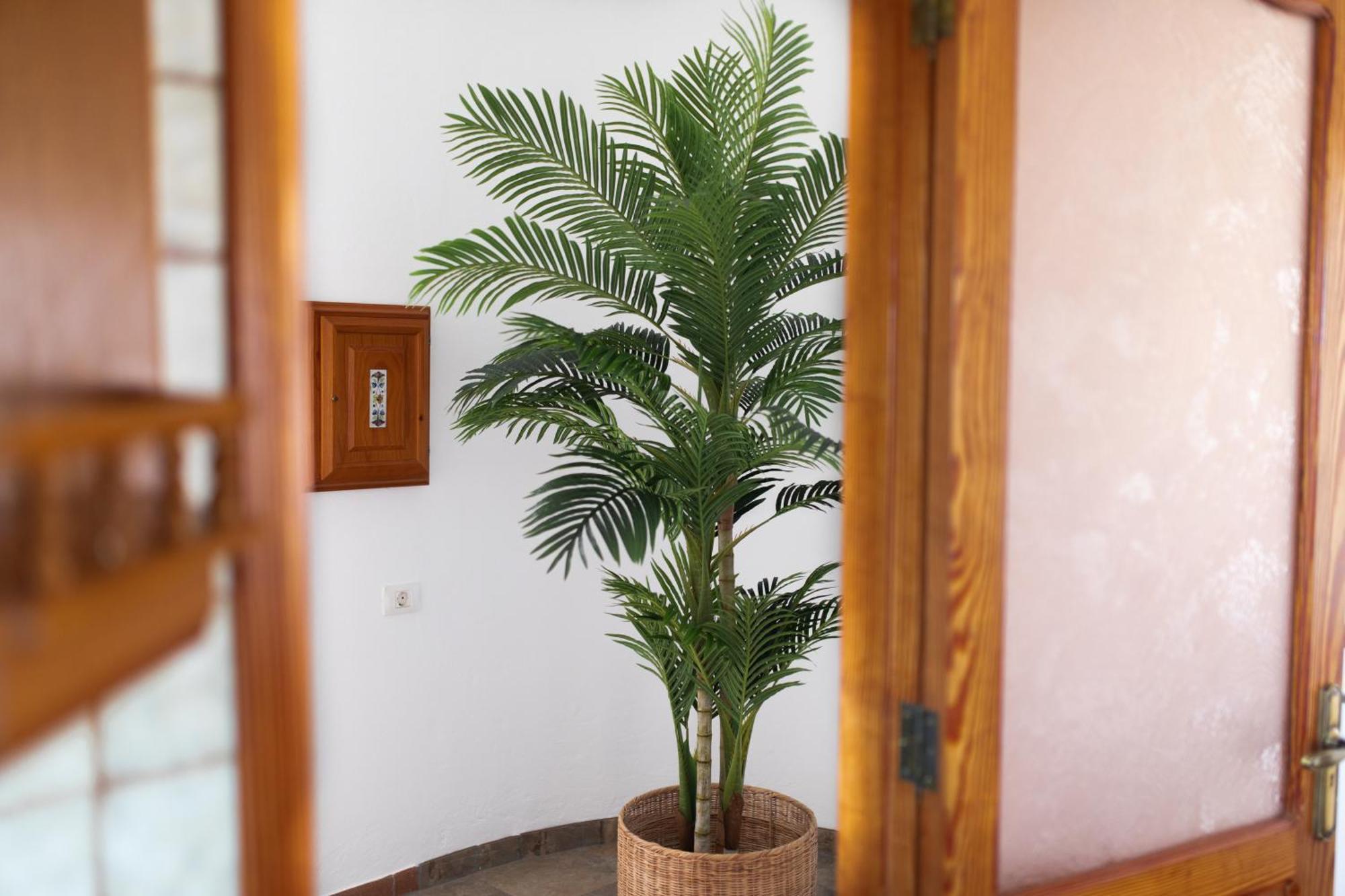 Casa Mia 1 Maspalomas Relax In An Exclusive Oasis Of Peace Just 10 Minutes From Lighthouse Apartamento *