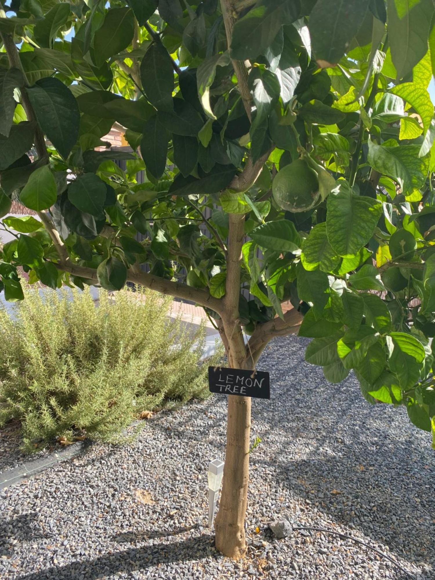 Casa , Dilar, Granada Con Jardin Y Piscina * Dílar
