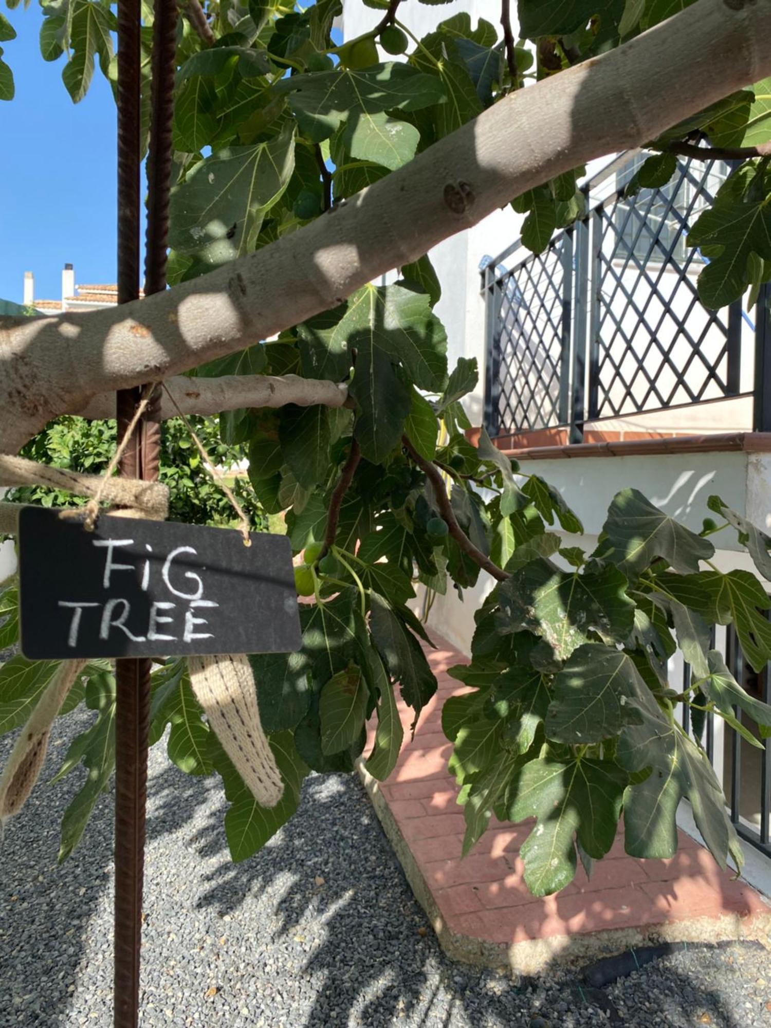 Сasa de vacaciones Casa , Dilar, Granada Con Jardin Y Piscina