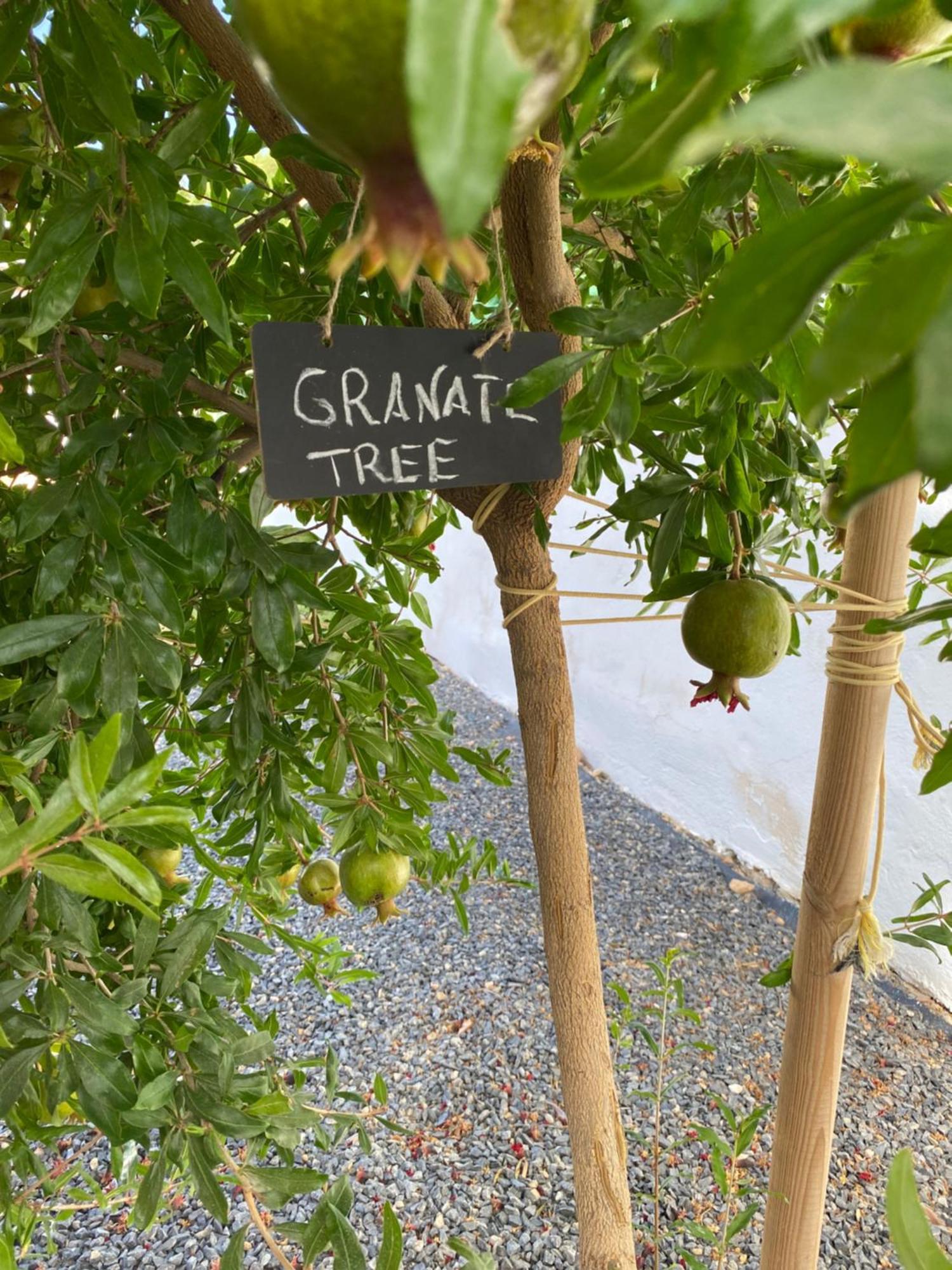 Сasa de vacaciones Casa , Dilar, Granada Con Jardin Y Piscina Dílar